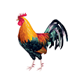 Cockfight